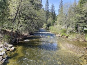 Read more about the article Yosemite Strike Team 2025 – Day 2