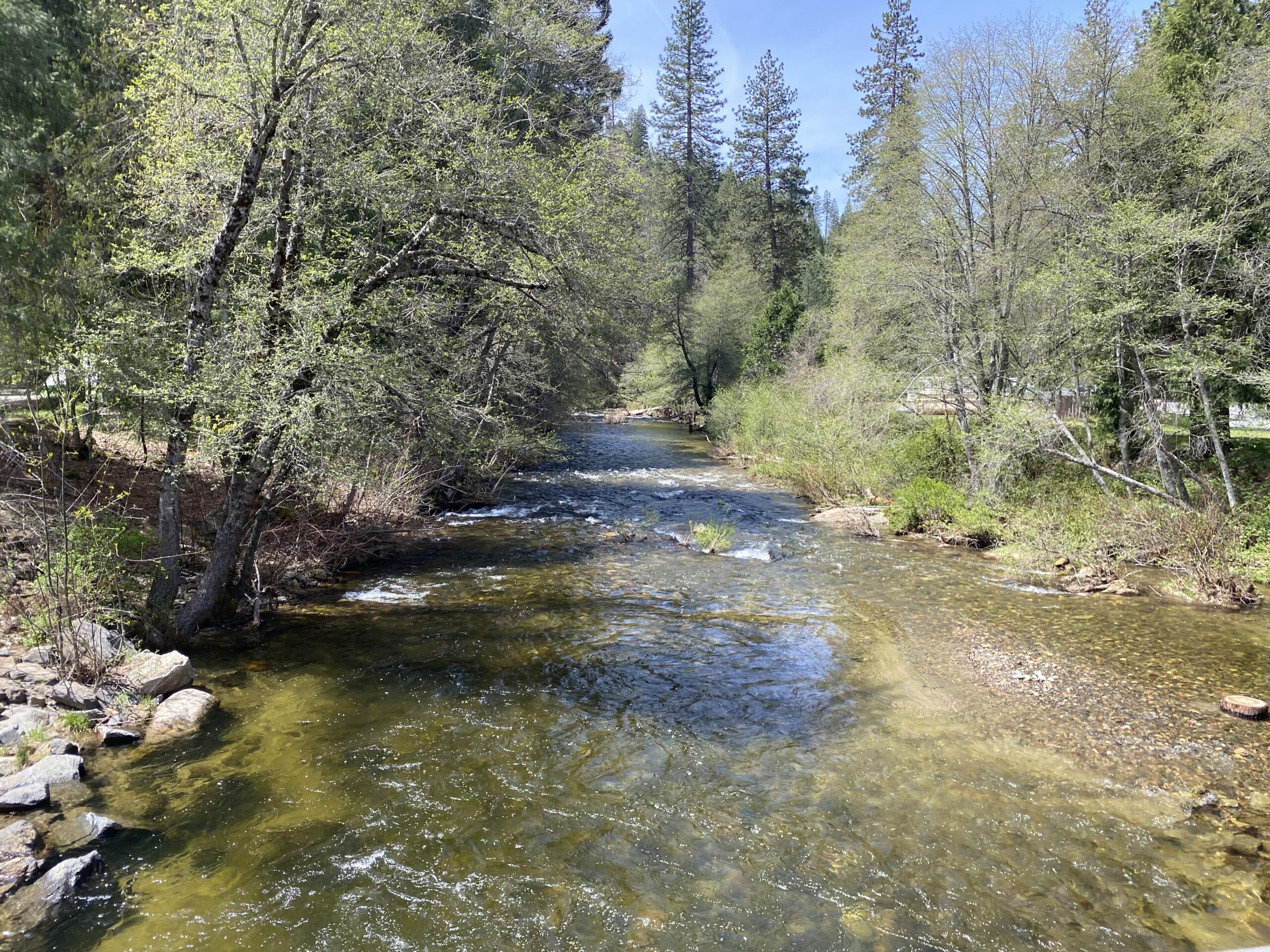 Read more about the article Yosemite Strike Team 2025 – Day 2