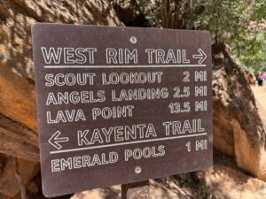 Read more about the article Southwest 2025 – Day 4