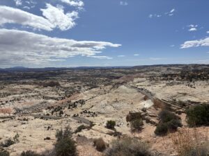 Read more about the article Southwest 2025 – Day 7